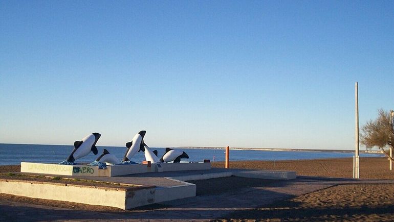Bandera azul: cómo es la certificación de calidad ambiental que le podrían dar a una playa de la Patagonia.
