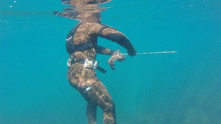 Caza submarina en Las Grutas para disfrutar de un paraíso sumergido