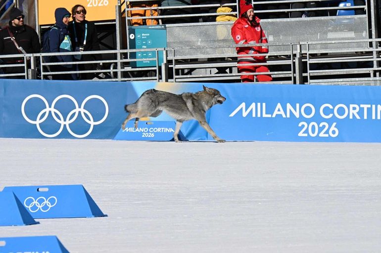 Fotos: Sergio Dovio Fotos: Sergio Dovio