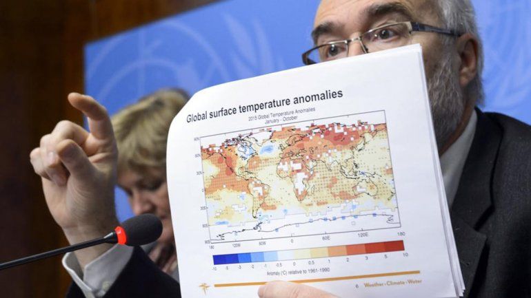 Para llevar a cabo esta investigación se realizaron 6000 estudios.