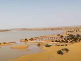 Las imágenes de las raras inundaciones en el desierto del Sahara que no ocurrían desde hace 50 años