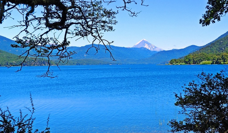 Foto Google Foto Google