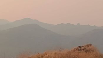 El humo de los incendios forestales de Chile cubrió el norte neuquino. El humo de los incendios forestales de Chile cubrió el norte neuquino.
