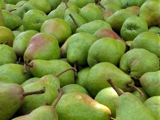 Moño Azul recibe el Sello de Calidad Alimentos Argentinos
