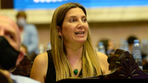 el macrismo cruzo a milei tras el fracaso de ficha limpia