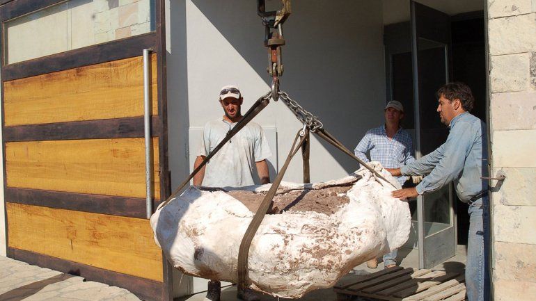 Descubrieron una nueva especie de dinosaurio de 110 millones de años