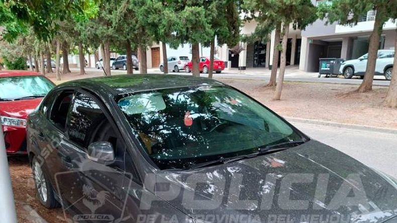 El ladrón que destrozó la ventanilla de un auto estacionado fue apresado tras un inmediato despliegue. | LM Neuquen El ladrón que destrozó la ventanilla de un auto estacionado fue apresado tras un inmediato despliegue.