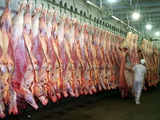 La ganadería bovina argentina atraviesa un mes de menor actividad frigorífica.