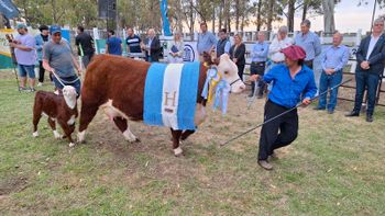 cumbre por la barrera sanitaria: la patagonia va al choque con nacion