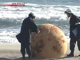 Una misteriosa bola gigante apareció en las costas de Japón