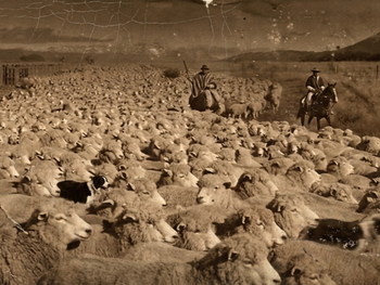 En una Patagonia desierta y olvidada, un inmigrante construyó un imperio que duró décadas.