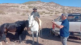 Un veterinario se puso al hombro la atención a los perros que trabajan en la trashumancia
