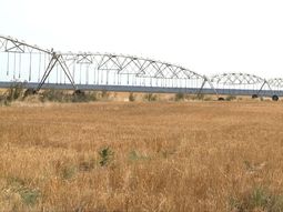 hay un reactor nuclear en los campos del norte de patagonia hay un reactor nuclear en los campos del norte de patagonia