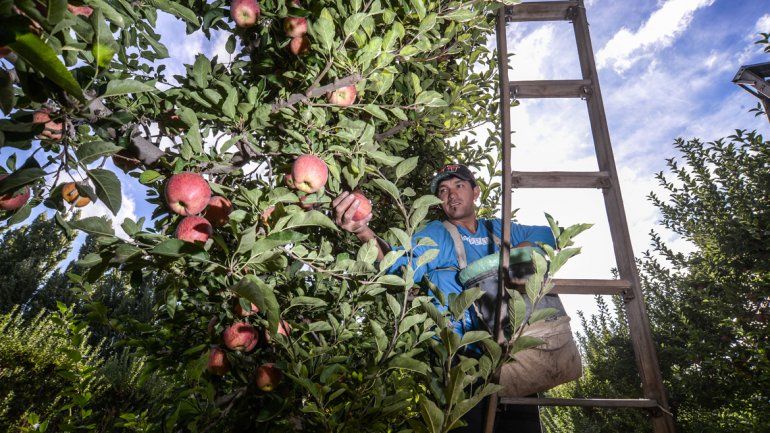 la fruta. El sector sufre una crisis desde hace años.