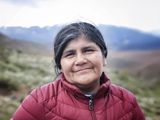 Un viaje a la tierra de Petrona