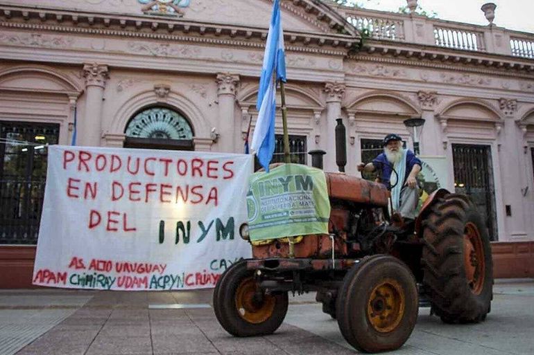 Productores yerbateros de Misiones protestaron contra el DNU de Javier Milei. Foto: Google.