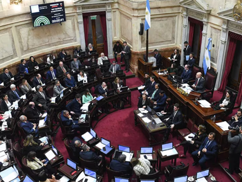 El Senado convirtió en ley la baja en la imputabilidad. El Senado convirtió en ley la baja en la imputabilidad.