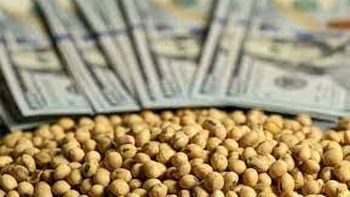 Los dólares de la cosecha gruesa. Allí están puestas todas las esperanzas del Gobierno para domar al mercado cambiario. Los dólares de la cosecha gruesa. Allí están puestas todas las esperanzas del Gobierno para domar al mercado cambiario.