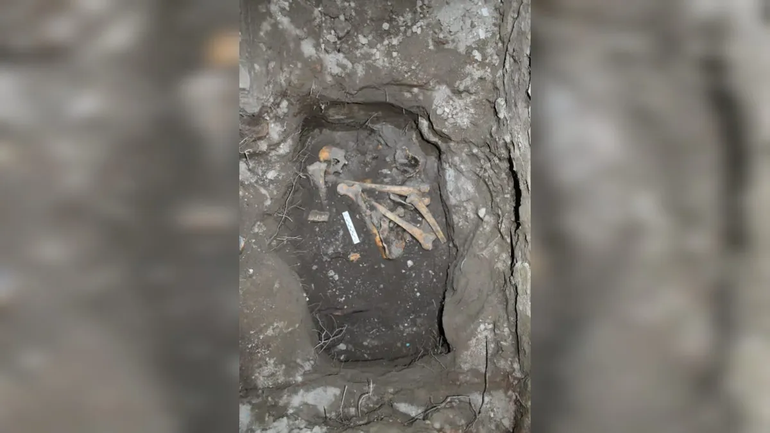 Qué son los huesos hallados en un conocido pub de Chos Malal