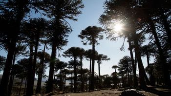 cual es el pueblo de neuquen declarado como el mas lindo del mundo cual es el pueblo de neuquen declarado como el mas lindo del mundo