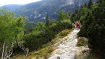 misterio: salieron a caminar por la montana y encontraron una extrana caja abandonada