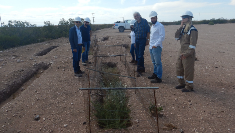 Investigadores de la UNCo en el lugar que se experimenta con especies nativas. Foto UNCo.