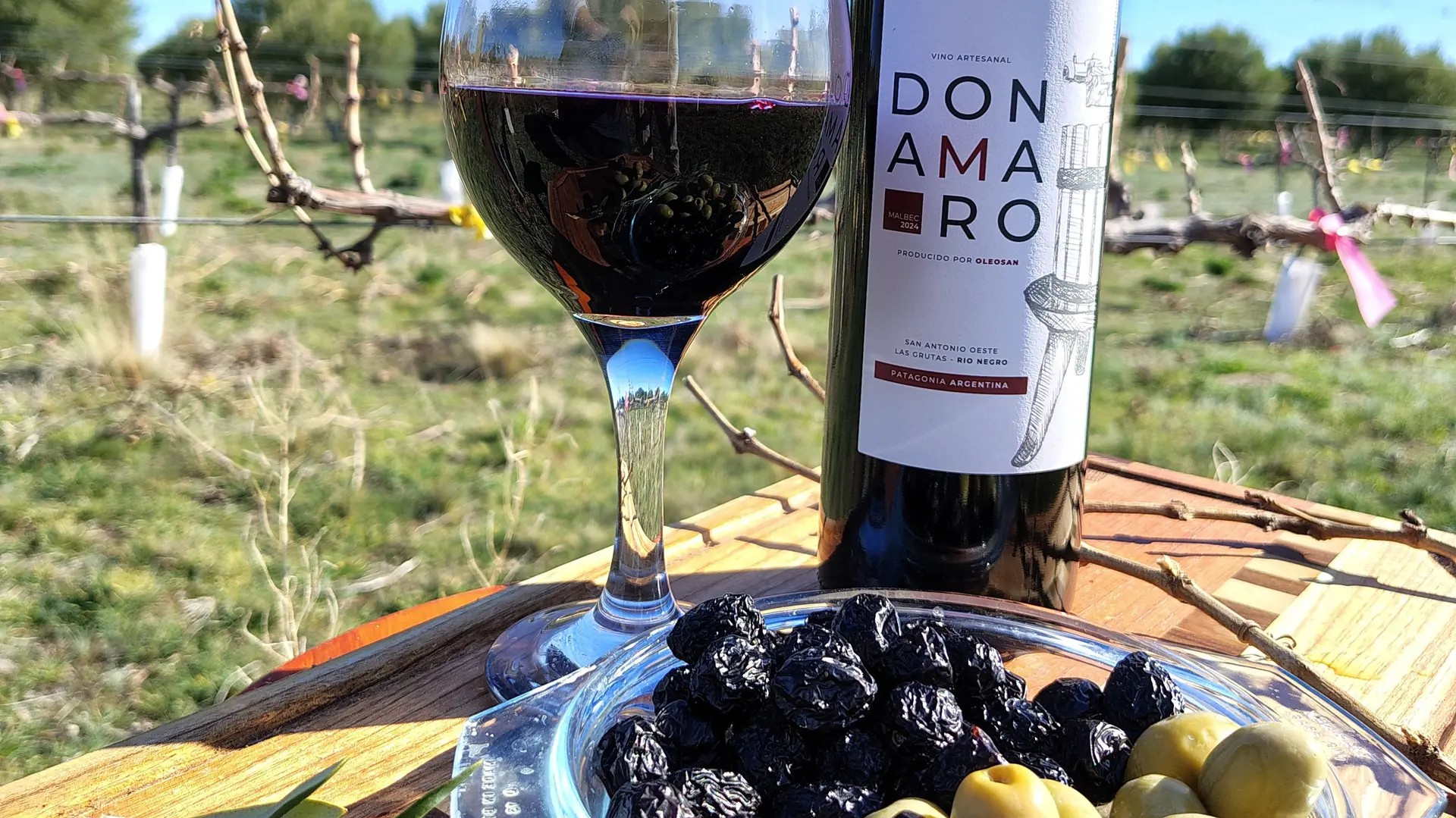 Uno de los establecimientos pioneros en la producción de olivos en la región, que sumó a sus filas un Malbec artesanal y orgánico. Foto: gentileza