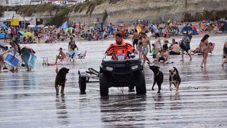 En Las Grutas encerrarán a los perros de la playa