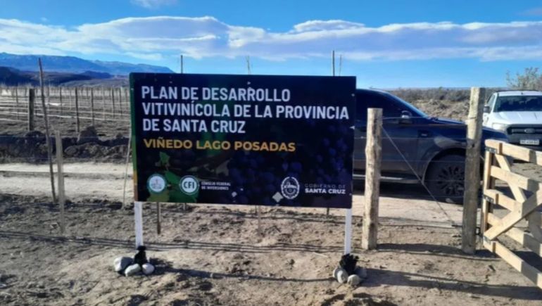 Santa Cruz se lanza a producir vinos con 12.000 parras importadas desde Mendoza