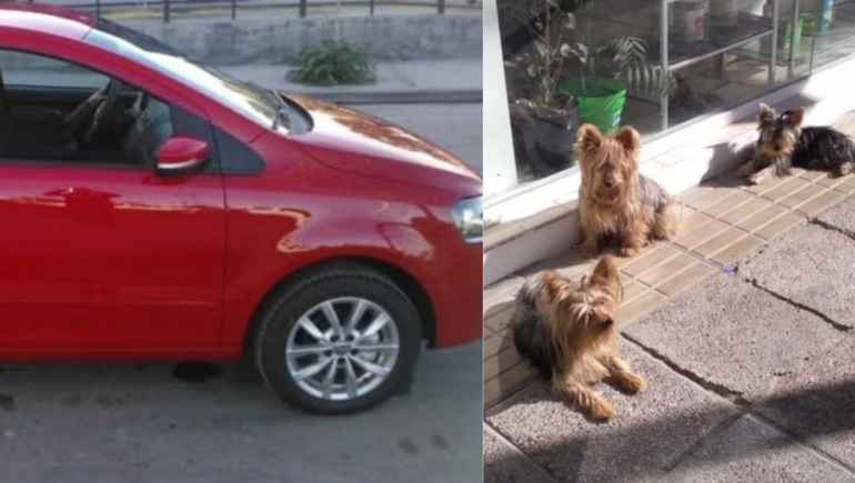 Salía del garage y le robaron el auto en pleno centro neuquino con los tres perros adentro
