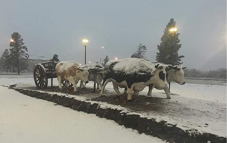 Imágenes de la nevada primaveral en Zapala. Imágenes de la nevada primaveral en Zapala.