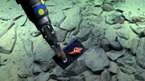 Cuándo es la nueva expedición del Conicet que recorrerá lugares nunca vistos del océano. Cuándo es la nueva expedición del Conicet que recorrerá lugares nunca vistos del océano.