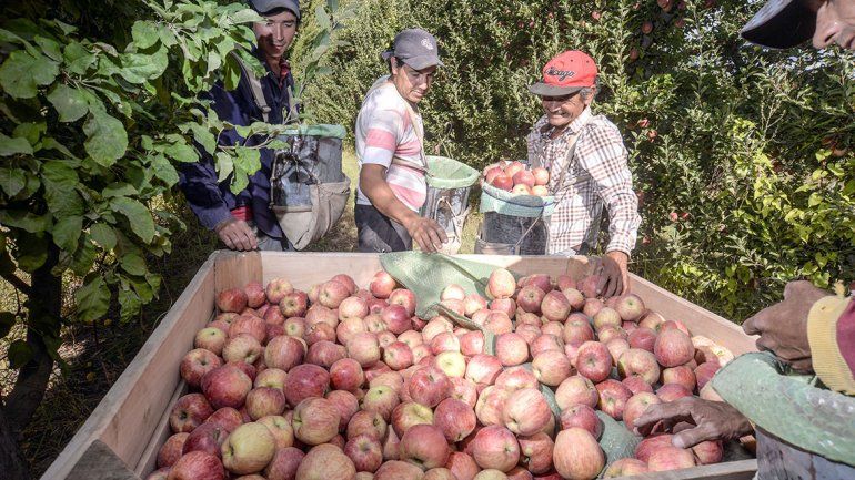 El sector frutícola expectante sobre cómo se aplicará el acuerdo con la UE