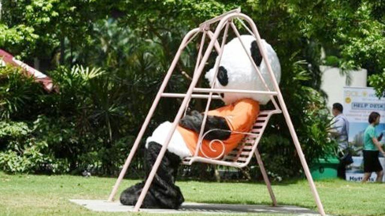 Debajo de la piel de un tierno panda