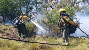 incendio en el valle magdalena: mas de 22 mil hectareas arrasadas y ecosistemas en peligro