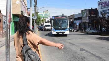 por que los neuquinos viajan gratis en los nuevos coles por que los neuquinos viajan gratis en los nuevos coles