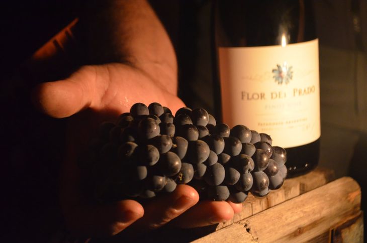 Flor del Prado renació: Luciano Fernández adquirió la marca en un remate. Foto: gentileza Fernández. Flor del Prado renació: Luciano Fernández adquirió la marca en un remate. Foto: gentileza Fernández.