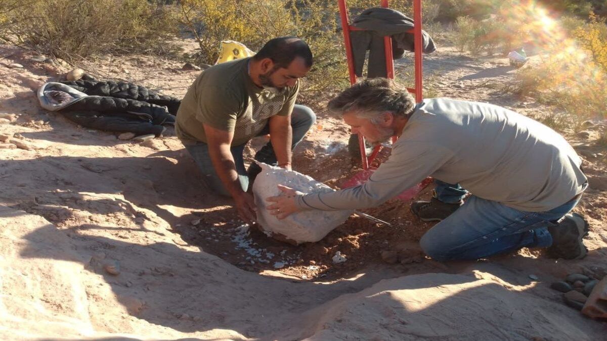 Encontraron restos fósiles de un dinosaurio en el campus de la UNCo thumbnail