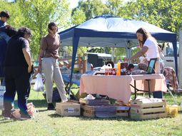 Para agendar: se viene la feria de los viernes en Centenario.