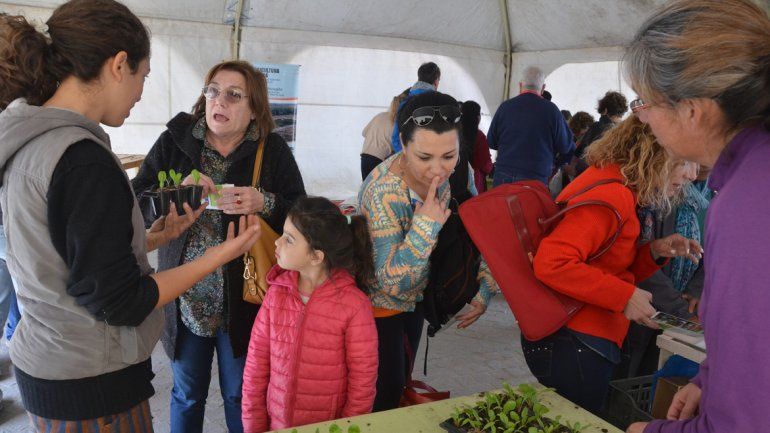 Huerteros del Proda comercializando plantines de verduras orgánicas.