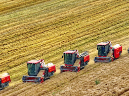 Todo indica que se impone un nuevo modelo de producción en el país. Todo indica que se impone un nuevo modelo de producción en el país.