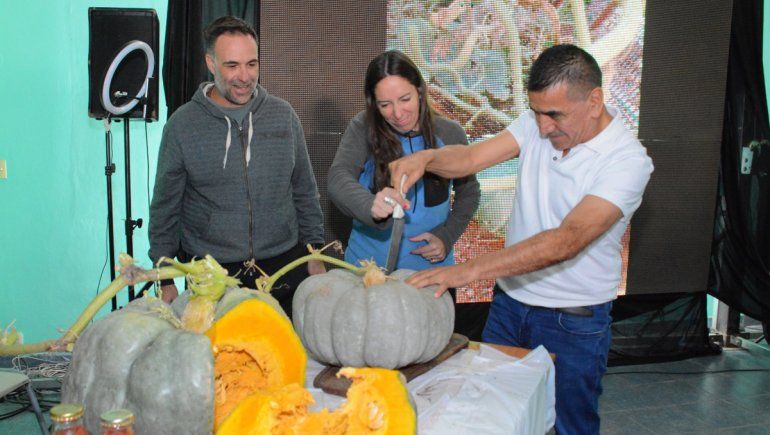 Entregaron premios a los zapallos XL en Cutral Co