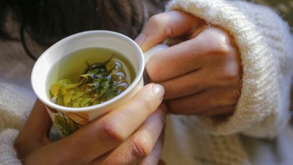 ¿Gripe o resfrío?: las siete hierbas naturales para eliminar la congestión y la tos