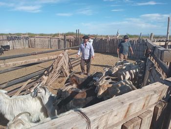 La sequía afecta al rodeo general de la provincia.
