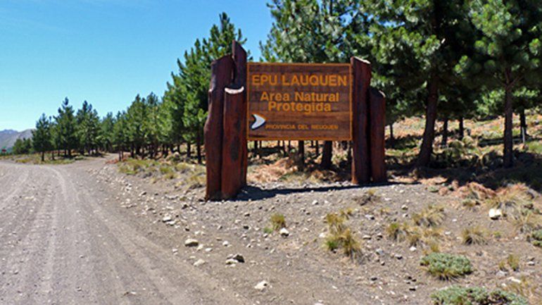 Áreas Naturales desmintió una tala indiscriminada en Las Ovejas