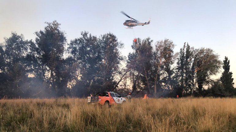 Incendios en Conesa: contuvieron tres focos