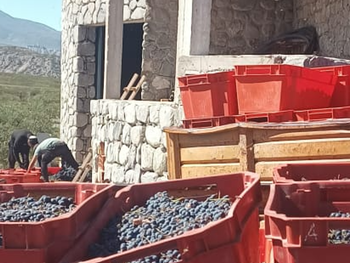 La Bodega Los Amaichas, construida con pircado ancestral a 2.300 metros de altura en Tucumán.