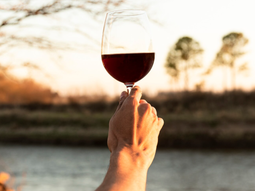 La categoría de vino de baja graduación alcohólica emerge como un segmento con un potencial de mercado estimado en 4,3 millones de hogares compradores interesados. La categoría de vino de baja graduación alcohólica emerge como un segmento con un potencial de mercado estimado en 4,3 millones de hogares compradores interesados.