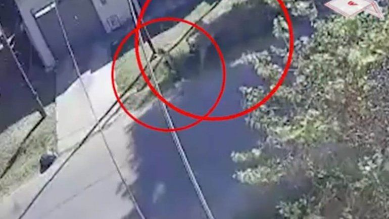 Video: motochorro arrastró a una jubilada por la calle para robarle