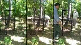 La península Hiroki permanece cerrada y el puma no aparece